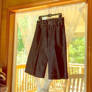 Level 99 culottes